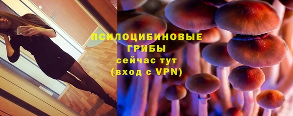 амф Белокуриха