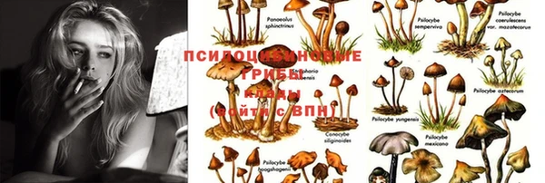 молекула духа Балабаново