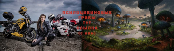 молекула духа Балабаново